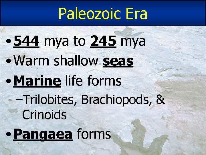 Paleozoic Era • 544 mya to 245 mya • Warm shallow seas • Marine Paleozoic Era • 544 mya to 245 mya • Warm shallow seas • Marine