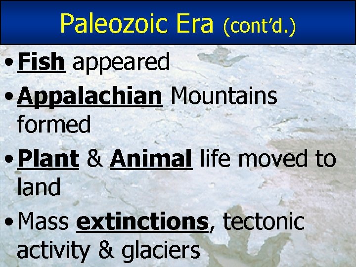 Paleozoic Era (cont’d. ) • Fish appeared • Appalachian Mountains formed • Plant & Paleozoic Era (cont’d. ) • Fish appeared • Appalachian Mountains formed • Plant &