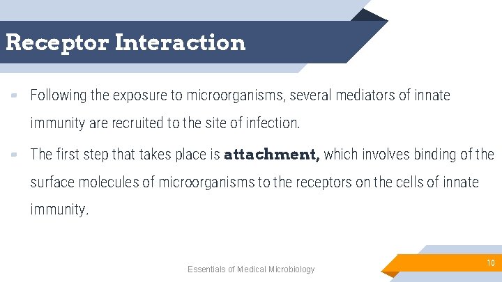 Receptor Interaction ▰ Following the exposure to microorganisms, several mediators of innate immunity are