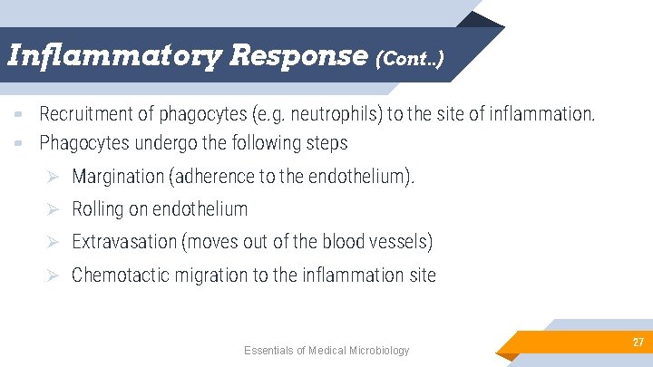 Inflammatory Response (Cont. . ) ▰ Recruitment of phagocytes (e. g. neutrophils) to the