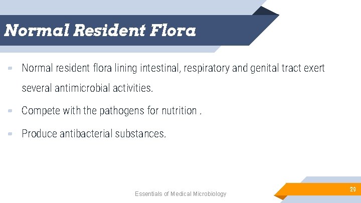 Normal Resident Flora ▰ Normal resident flora lining intestinal, respiratory and genital tract exert