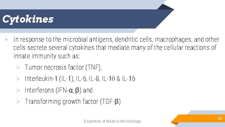 Cytokines ▰ In response to the microbial antigens, dendritic cells, macrophages, and other cells