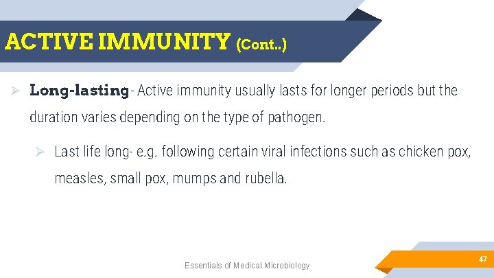 ACTIVE IMMUNITY (Cont. . ) Ø Long-lasting- Active immunity usually lasts for longer periods