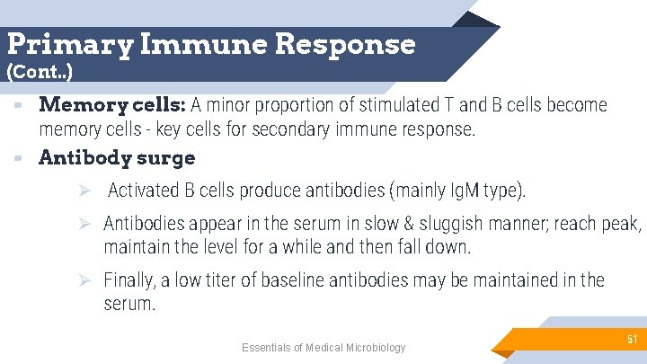 Primary Immune Response (Cont. . ) ▰ Memory cells: A minor proportion of stimulated