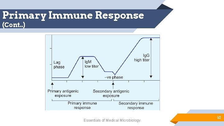 Primary Immune Response (Cont. . ) Essentials of Medical Microbiology 52 