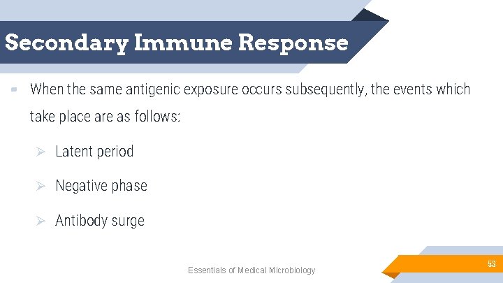 Secondary Immune Response ▰ When the same antigenic exposure occurs subsequently, the events which