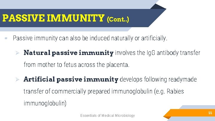 PASSIVE IMMUNITY (Cont. . ) ▰ Passive immunity can also be induced naturally or