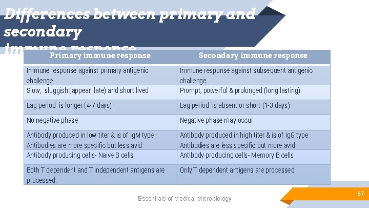 Differences between primary and secondary immune response Primary immune response Secondary immune response Immune