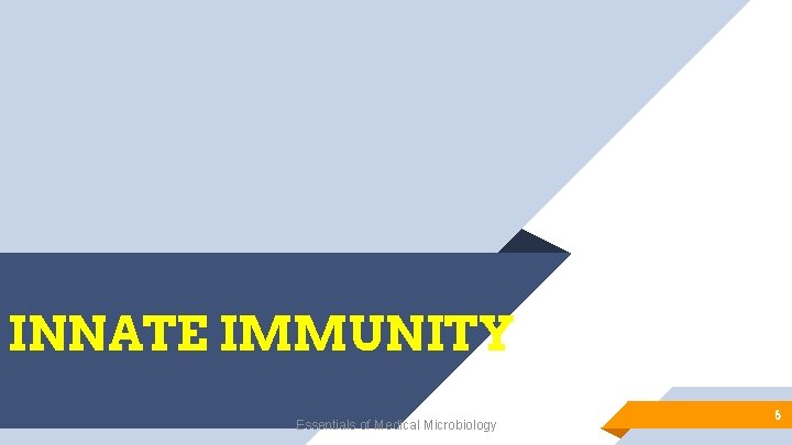 INNATE IMMUNITY Essentials of Medical Microbiology 6 