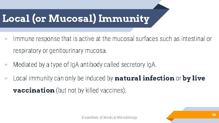 Local (or Mucosal) Immunity ▰ Immune response that is active at the mucosal surfaces