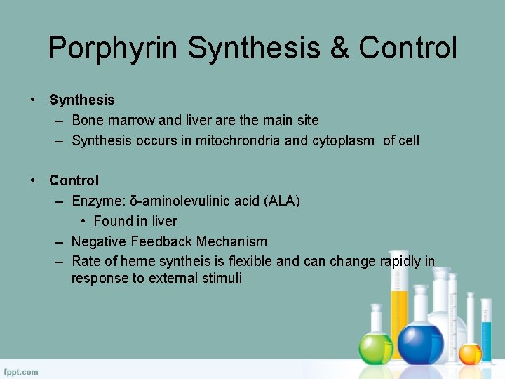 Porphyrin Synthesis & Control • Synthesis – Bone marrow and liver are the main