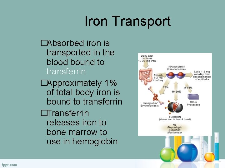 MLT 242 Clinical Chemistry II Hemoglobin Production Disorders