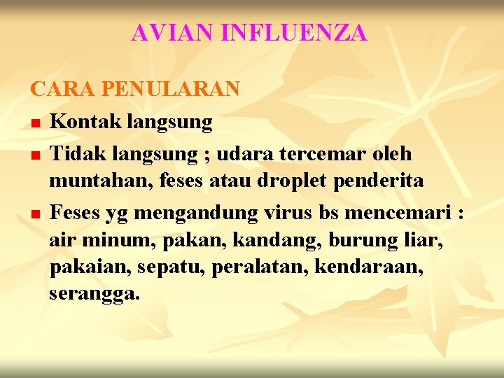 AVIAN INFLUENZA CARA PENULARAN n Kontak langsung n Tidak langsung ; udara tercemar oleh