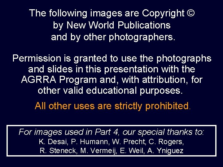 The following images are Copyright © by New World Publications and by other photographers.