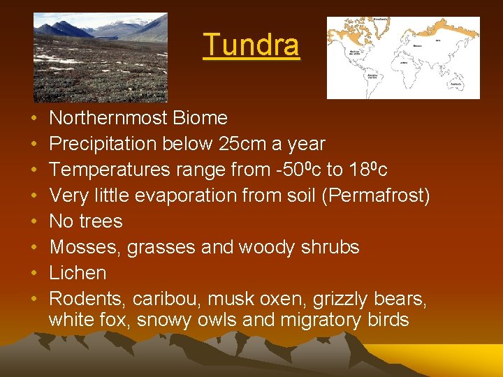 Tundra • • Northernmost Biome Precipitation below 25 cm a year Temperatures range from