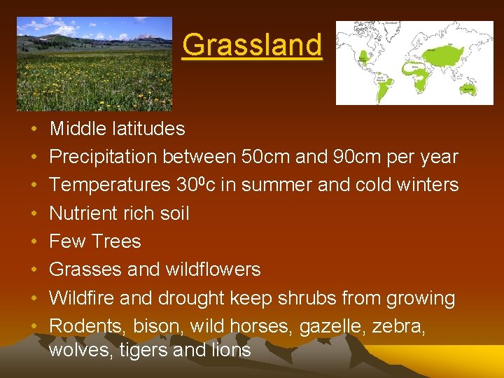 Grassland • • Middle latitudes Precipitation between 50 cm and 90 cm per year