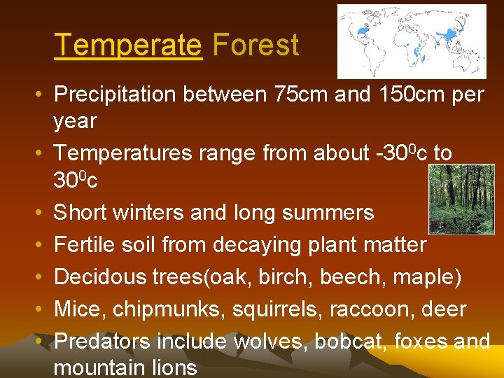 Temperate Forest • Precipitation between 75 cm and 150 cm per year • Temperatures