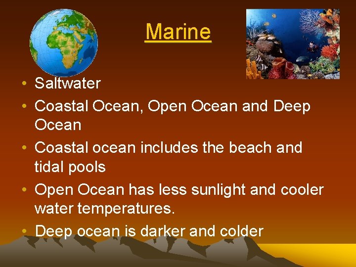 Marine • Saltwater • Coastal Ocean, Open Ocean and Deep Ocean • Coastal ocean