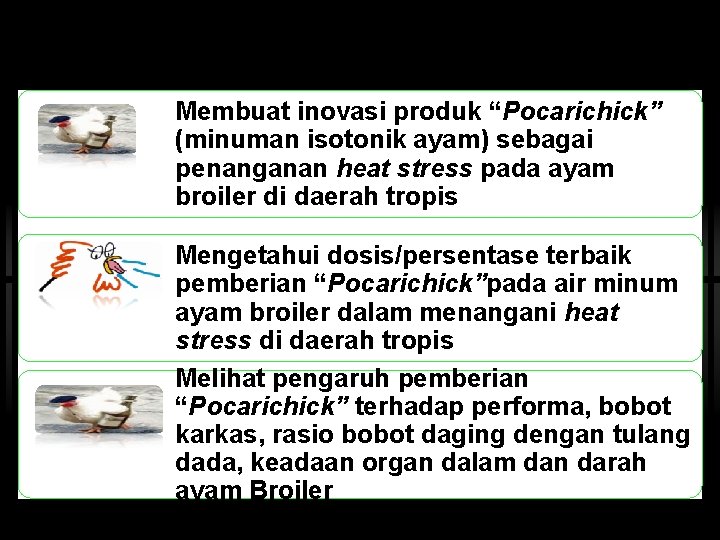 Membuat inovasi produk “Pocarichick” (minuman isotonik ayam) sebagai penanganan heat stress pada ayam broiler