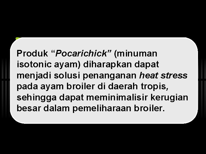 Produk “Pocarichick” (minuman isotonic ayam) diharapkan dapat menjadi solusi penanganan heat stress pada ayam