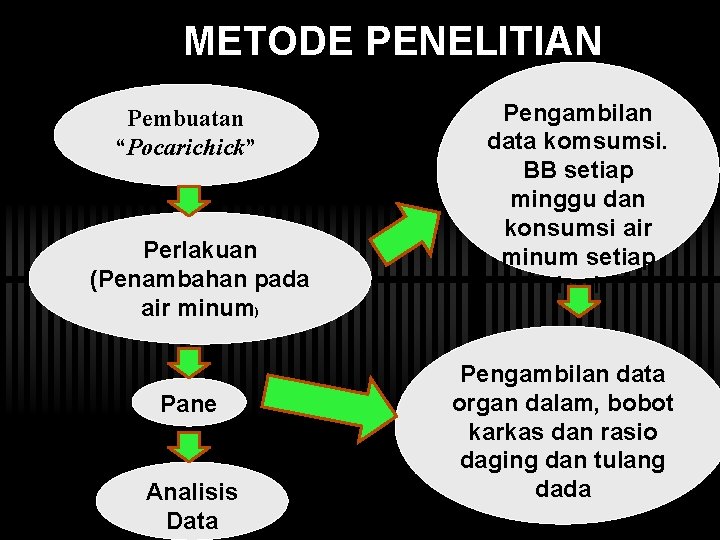 METODE PENELITIAN Pembuatan “Pocarichick” Perlakuan (Penambahan pada air minum) Pane n Analisis Data Pengambilan