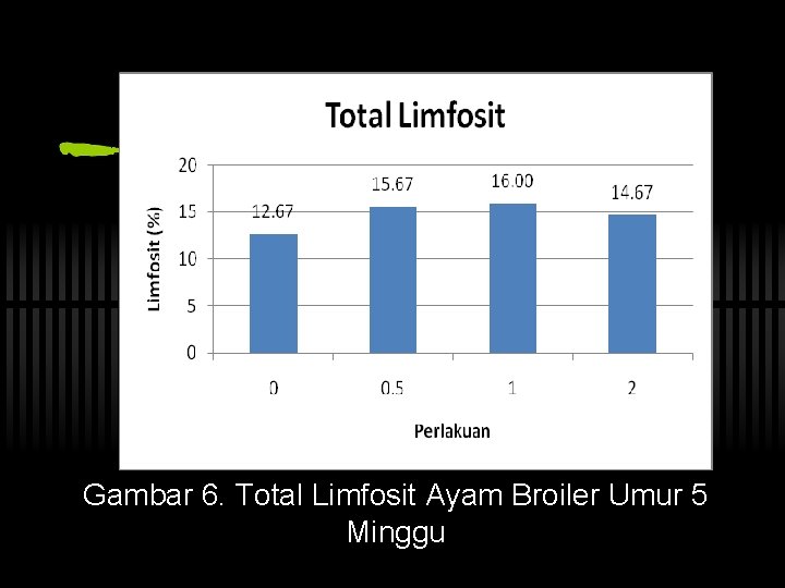 Gambar 6. Total Limfosit Ayam Broiler Umur 5 Minggu 