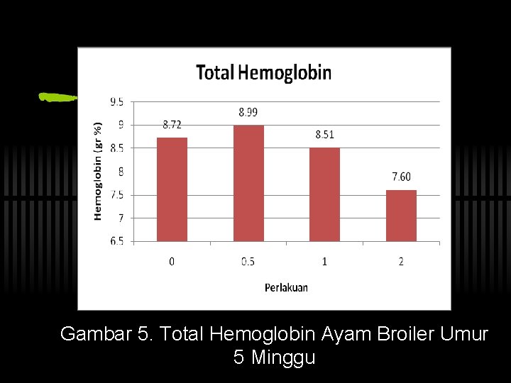 Gambar 5. Total Hemoglobin Ayam Broiler Umur 5 Minggu 