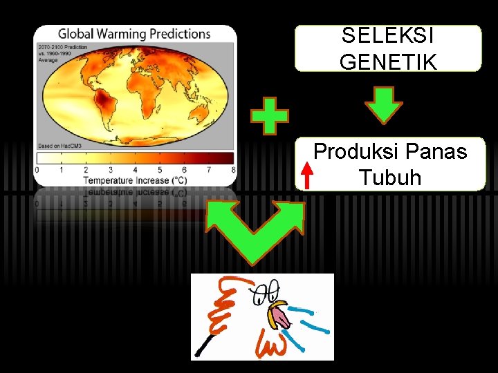 SELEKSI GENETIK Produksi Panas Tubuh 