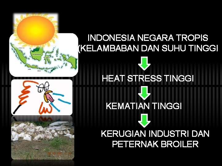 INDONESIA NEGARA TROPIS (KELAMBABAN DAN SUHU TINGGI HEAT STRESS TINGGI KEMATIAN TINGGI KERUGIAN INDUSTRI