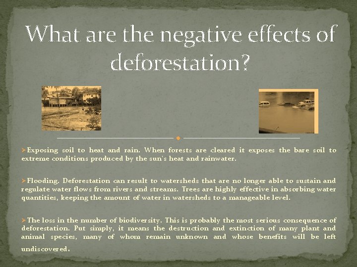 What are the negative effects of deforestation? Ø Exposing soil to heat and rain.