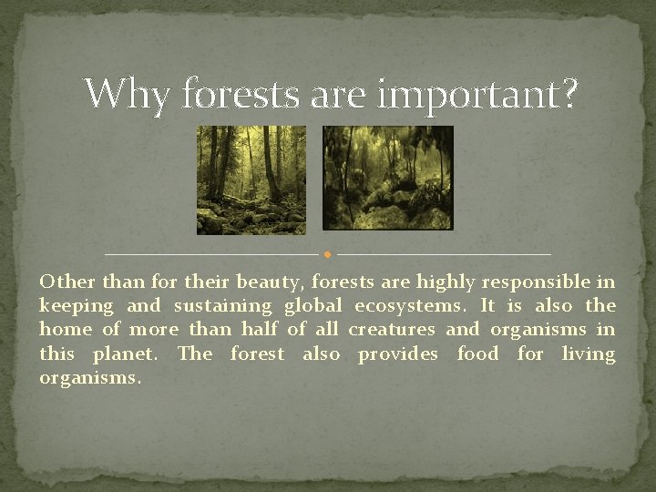 Why forests are important? Other than for their beauty, forests are highly responsible in