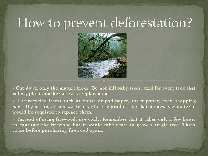 How to prevent deforestation? Ø Cut down only the mature trees. Do not kill