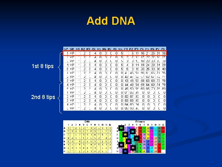 Add DNA 1 st 8 tips 2 nd 8 tips 