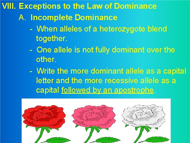 VIII. Exceptions to the Law of Dominance A. Incomplete Dominance - When alleles of
