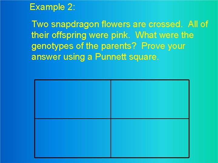 Example 2: Two snapdragon flowers are crossed. All of their offspring were pink. What