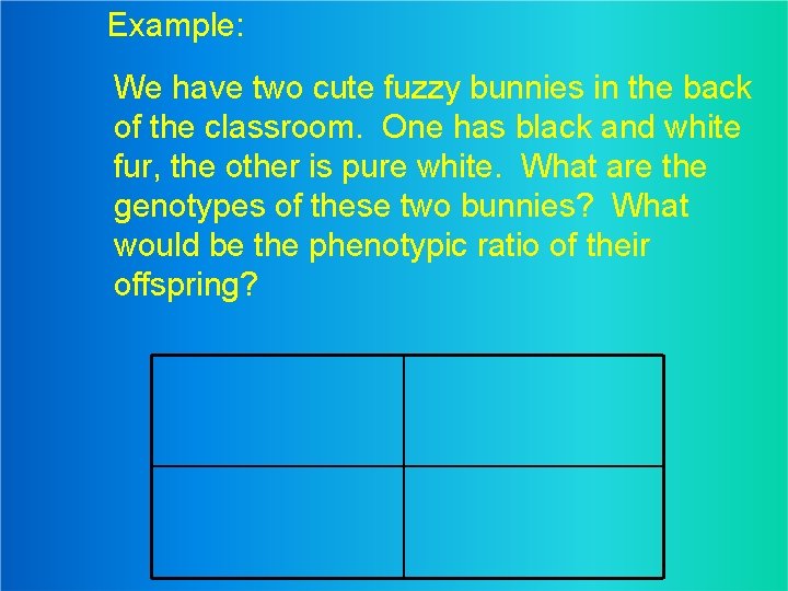 Example: We have two cute fuzzy bunnies in the back of the classroom. One