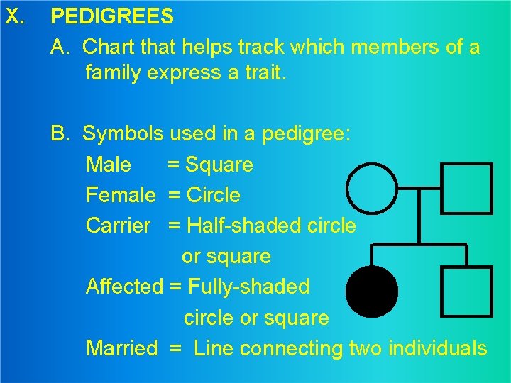 X. PEDIGREES A. Chart that helps track which members of a family express a