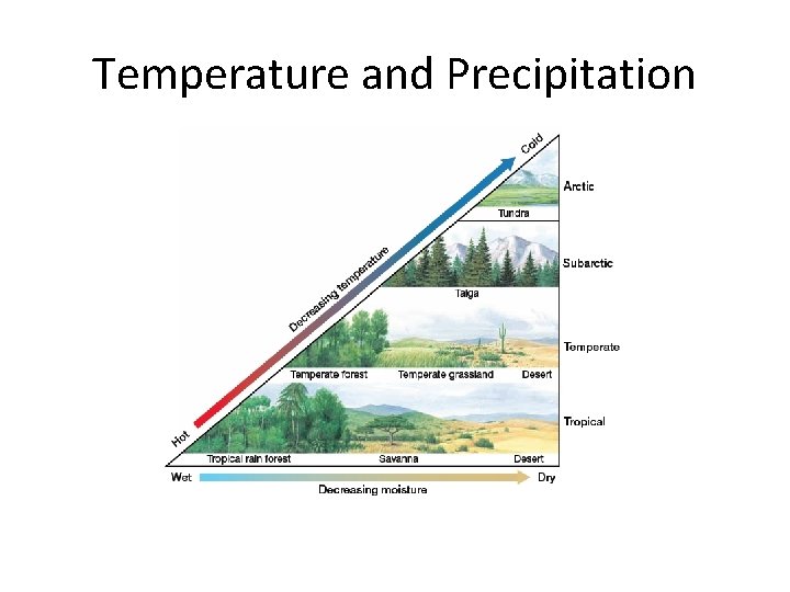 Temperature and Precipitation 
