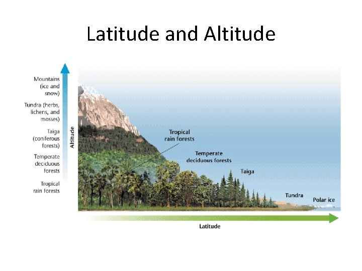 Latitude and Altitude 