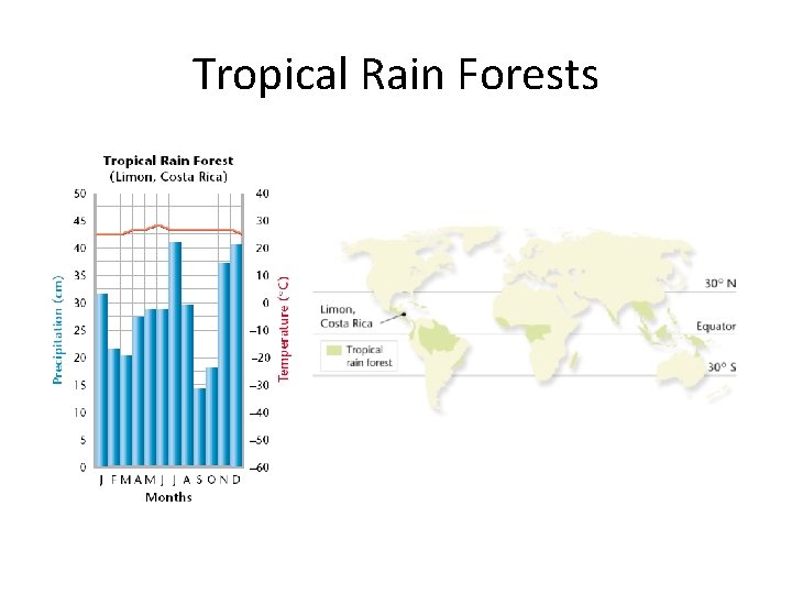 Tropical Rain Forests 