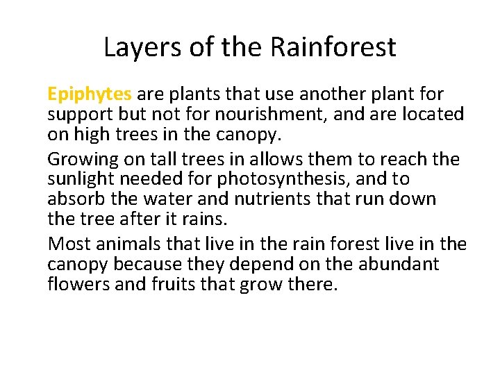 Layers of the Rainforest • Epiphytes are plants that use another plant for support