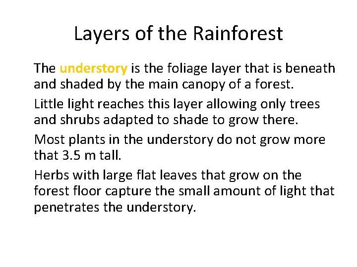Layers of the Rainforest • The understory is the foliage layer that is beneath