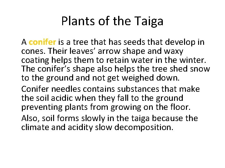 Plants of the Taiga • A conifer is a tree that has seeds that