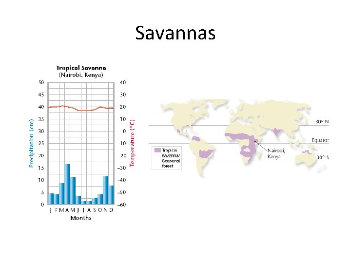 Savannas 