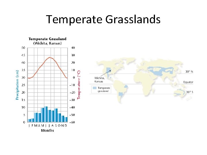 Temperate Grasslands 