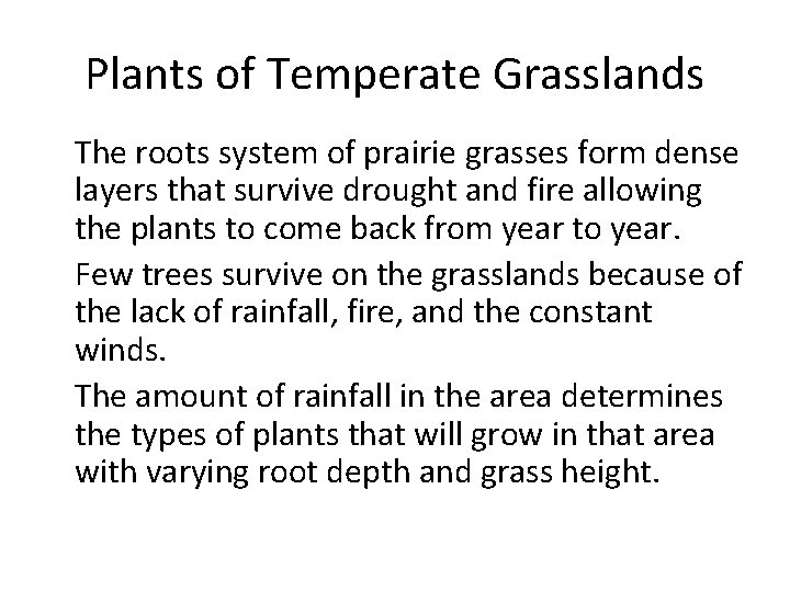 Plants of Temperate Grasslands • The roots system of prairie grasses form dense layers