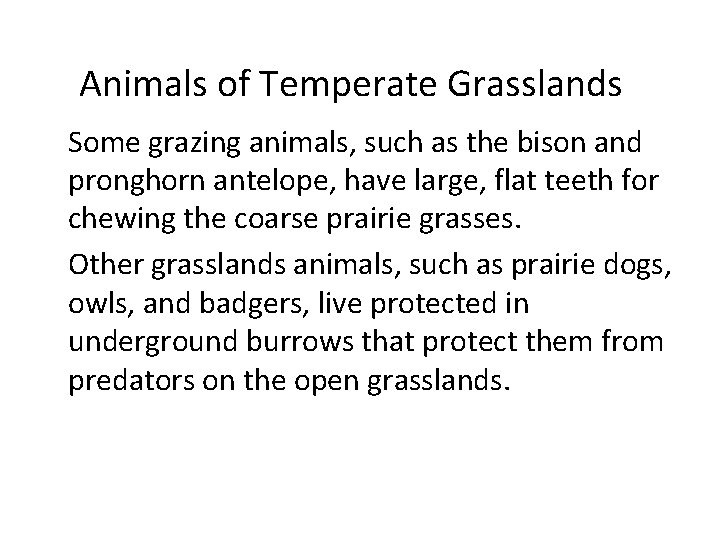 Animals of Temperate Grasslands • Some grazing animals, such as the bison and pronghorn
