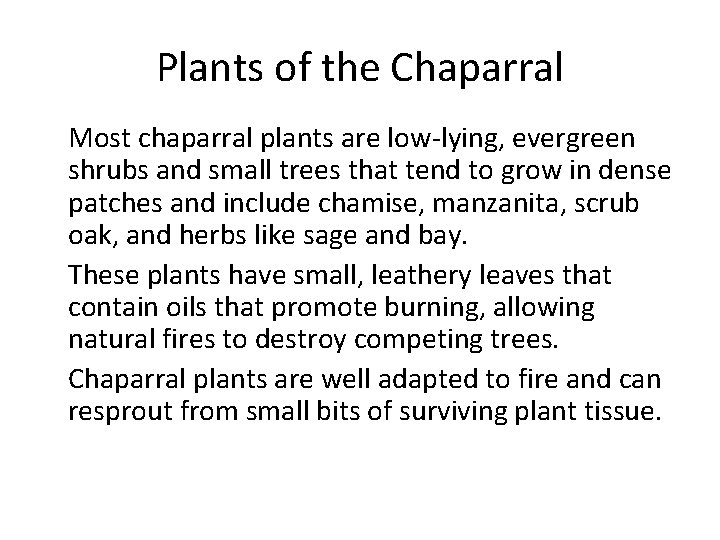 Plants of the Chaparral • Most chaparral plants are low-lying, evergreen shrubs and small