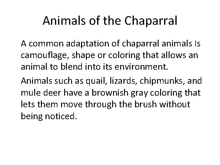 Animals of the Chaparral • A common adaptation of chaparral animals Is camouflage, shape