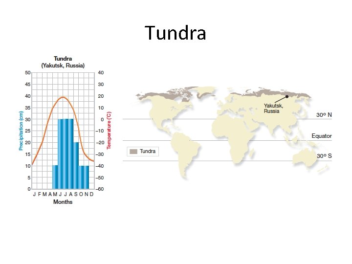 Tundra 